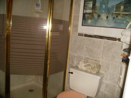 one bathroom with neo-angular shower