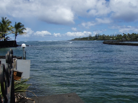 View of Kapoho Bay, Big Island, Hawaii