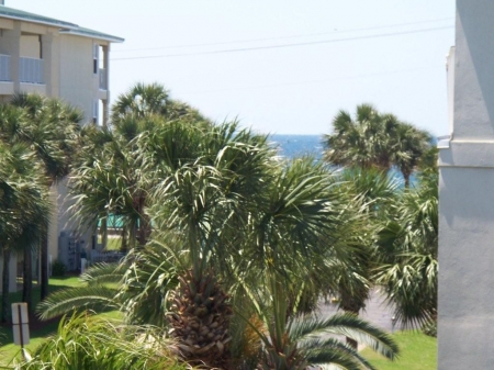 Tropical view thru Palm trees on balcony